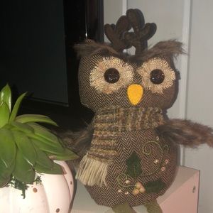 Pier 1 owl home decor